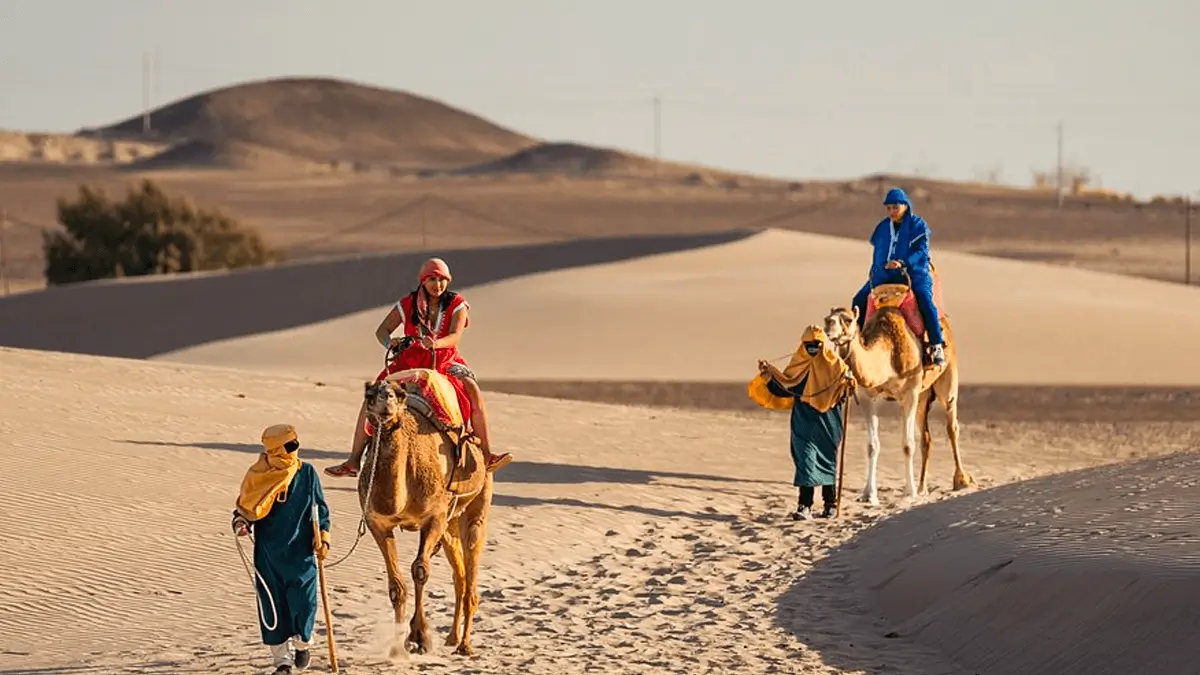 Disfruta de paisajes mientras exploras viñedos, oasis y tradiciones que cautivan a los viajeros.