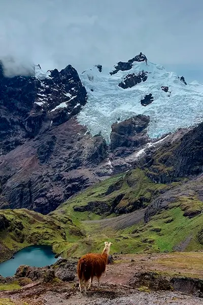 TREKKING LARES